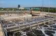 Tây Ninh: Sẽ đóng cửa các cơ sở chế biến cao su, tinh bột sắn không xây dựng hệ thống xử lý nước thải đạt chuẩn 